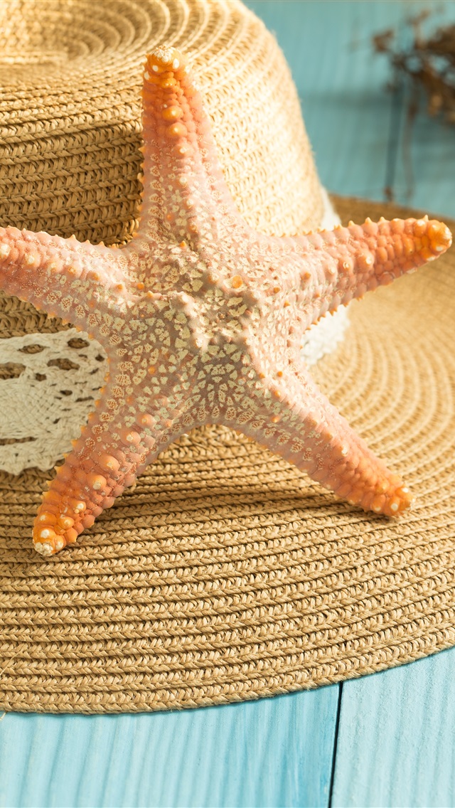 海星tv苹果版(海星云最新版ios下载不了了)-第2张图片-有道翻译官网 海星tv苹果版(海星云最新版ios下载不了了)-第2张图片-有道翻译官网